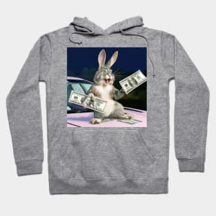 Rabbit holding Dollar Bills Hoodie